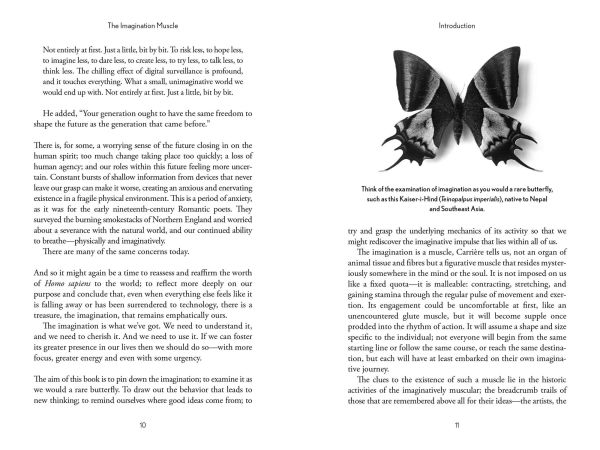 The Imagination Muscle: Where Good Ideas Come From (And How to Have More of Them)