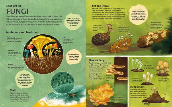 Curious Features of Extraordinary Creatures: Nature's Cleanup Crew