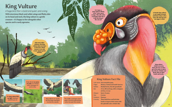 Curious Features of Extraordinary Creatures: Nature's Cleanup Crew