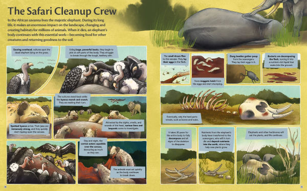 Curious Features of Extraordinary Creatures: Nature's Cleanup Crew