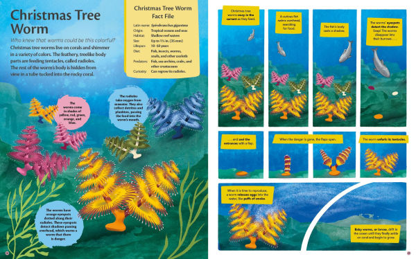 Curious Features of Extraordinary Creatures: Nature's Cleanup Crew