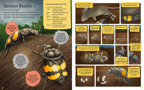 Curious Features of Extraordinary Creatures: Nature's Cleanup Crew