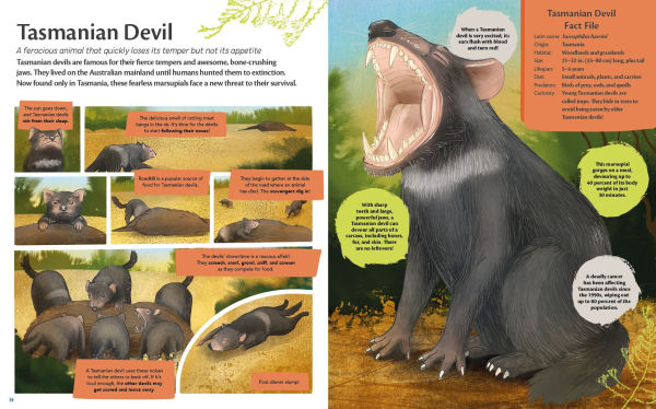 Curious Features of Extraordinary Creatures: Nature's Cleanup Crew