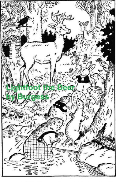 Lightfoot the Deer, Illustrated