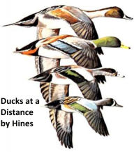 Title: Ducks at a Distance: a Waterfowl Identification Guide, Illustrated, Author: Bob Hines