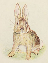 Title: The Story of a Fierce Bad Rabbit (Illustrated), Author: Beatrix Potter
