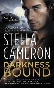 Title: Darkness Bound, Author: Stella Cameron