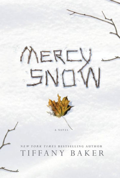 Mercy Snow: A Novel