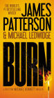 Burn (Michael Bennett Series #7)