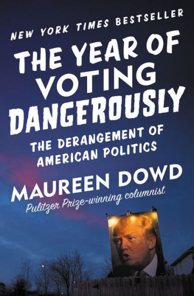 The Year of Voting Dangerously: The Derangement of American Politics