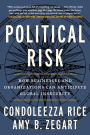 Political Risk: How Businesses and Organizations Can Anticipate Global Insecurity