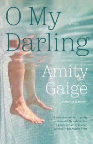 Title: O My Darling: A Novel, Author: Amity Gaige