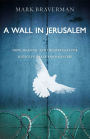 A Wall in Jerusalem: Hope, Healing, and the Struggle for Justice in Israel and Palestine