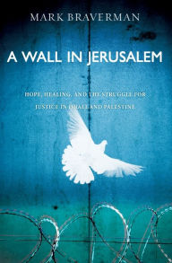 Title: A Wall in Jerusalem: Hope, Healing, and the Struggle for Justice in Israel and Palestine, Author: Mark Braverman