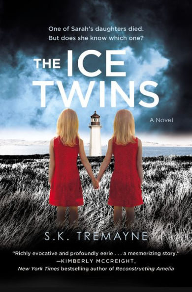 The Ice Twins: A Novel