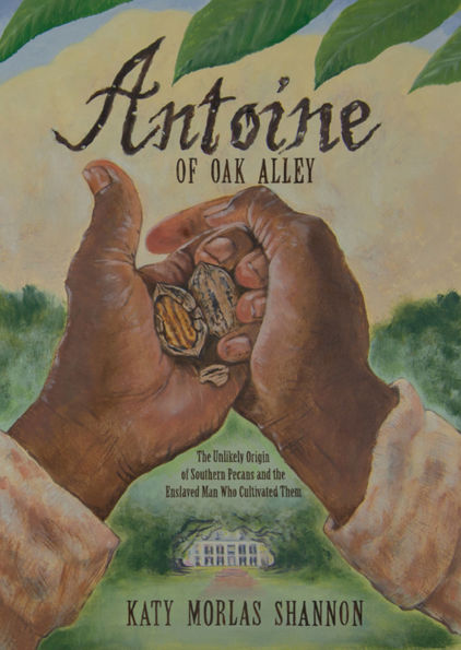 Antoine of Oak Alley: The Unlikely Origin of Southern Pecans and the Enslaved Man Who Cultivated Them