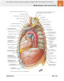 Alternative view 3 of Atlas of Human Anatomy: Including Student Consult Interactive Ancillaries and Guides / Edition 6
