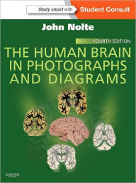 Title: The Human Brain in Photographs and Diagrams E-Book, Author: John Nolte