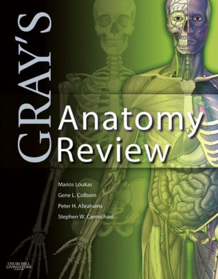Gray S Anatomy Review E Book