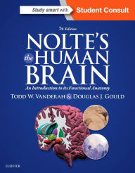 Title: Nolte's The Human Brain: An Introduction to its Functional Anatomy / Edition 7, Author: Todd W. Vanderah PhD