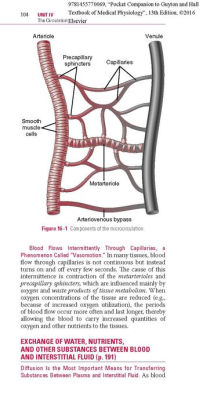 book Colonoscopy and Colorectal