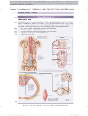 Netters Clinical Anatomy With Online Access Edition 3