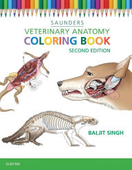 Download Anatomy Coloring Books Coloring Books Books Barnes Noble