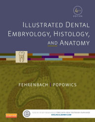 Title: Illustrated Dental Embryology, Histology, and Anatomy / Edition 4, Author: Margaret J. Fehrenbach RDH