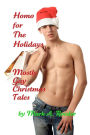 Homo For The Holidays: A Collection of Mostly Gay Christmas Tales