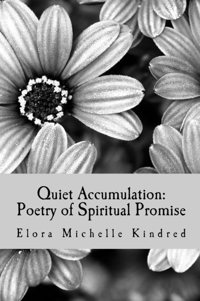 Quiet Accumulation: Poetry of Spiritual Promise
