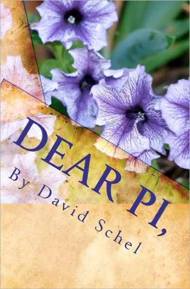 Dear Pi,: A Husband and a Father's raw and unedited passion for saving his marriage and his family.