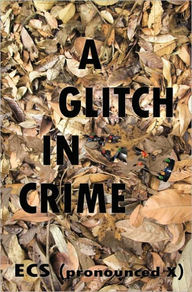 A Glitch Crime