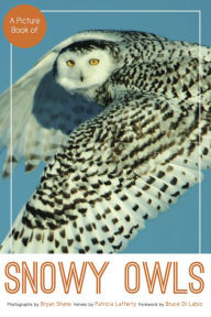 Title: A Picture Book of Snowy Owls, Author: Bryan Shane