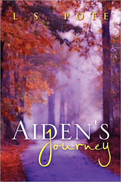 Aiden's Journey