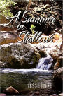 A SUMMER IN SHALLOWS