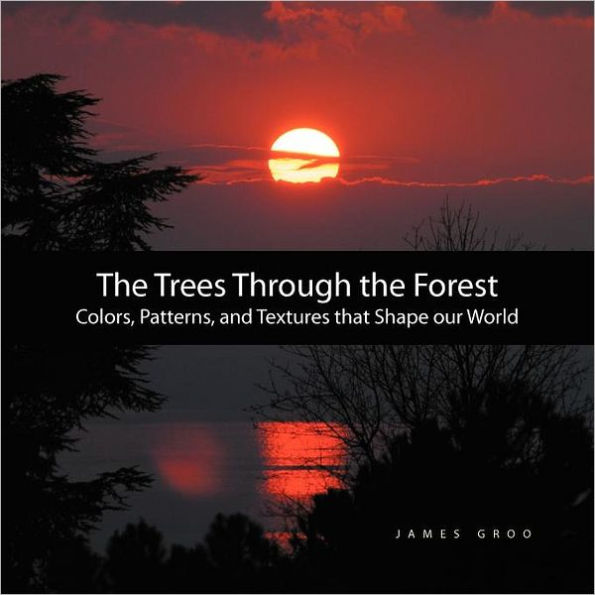 The Trees Through the Forest: Photography by James Groo