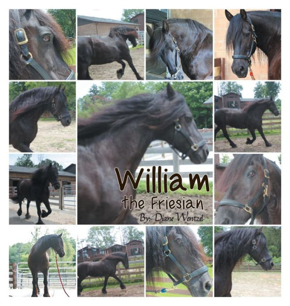 William The Friesian