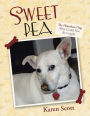 Sweet Pea: The Homeless Dog Who Could Not Be Caught