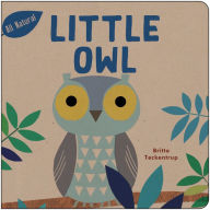 Title: Little Owl, Author: Britta Teckentrup