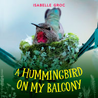 Title: A Hummingbird on My Balcony, Author: Isabelle Groc