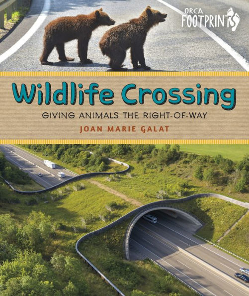 Wildlife Crossing: Giving Animals the Right-of-Way