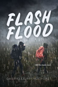 Title: Flash Flood, Author: Gabrielle Prendergast