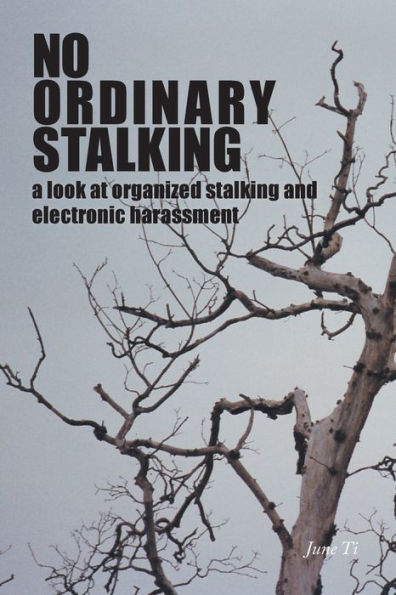 No Ordinary Stalking: a look at organized stalking and electronic harassment