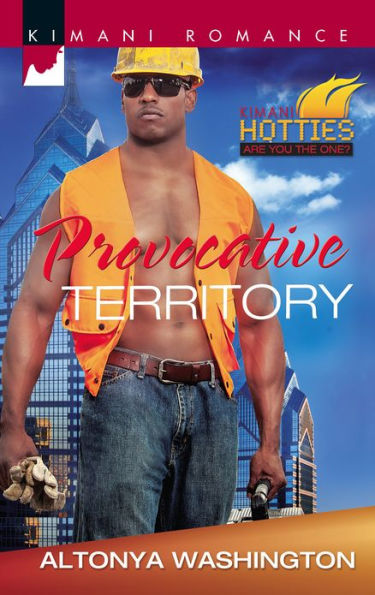 Provocative Territory (Harlequin Kimani Romance Series #319)