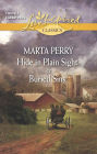 Hide in Plain Sight and Buried Sins (Love Inspired Classics Series)