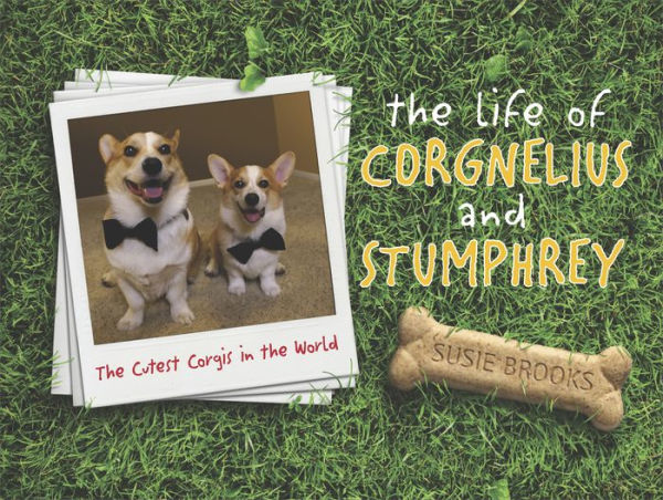 The Life of Corgnelius and Stumphrey: The Cutest Corgis in the World