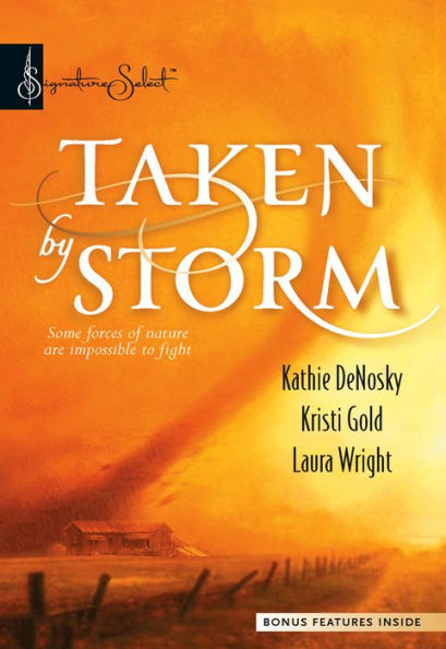 Taken By Storm: An Anthology