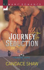 Journey to Seduction (Harlequin Kimani Romance Series #416)
