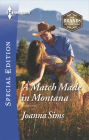 A Match Made in Montana (Harlequin Special Edition Series #2404)