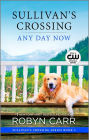 Any Day Now (Sullivan's Crossing Series #2)